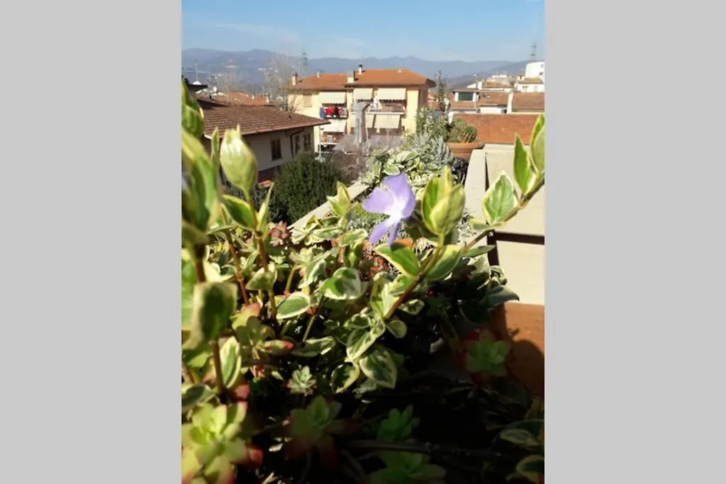 Locazione Turistica Chichibio Apartment Pistoia